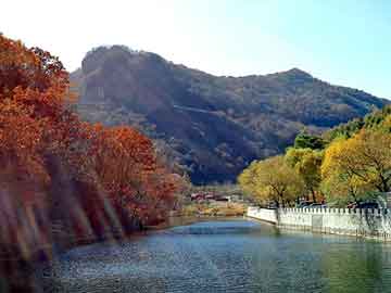 天天彩好彩天天免费，皇岗口岸去迪士尼